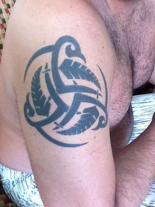 Diego - Triskell ferns