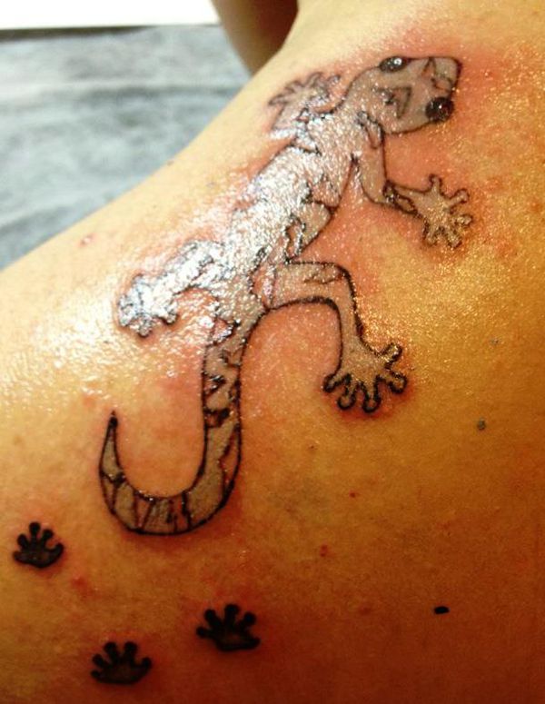 Domenica - Silver gecko