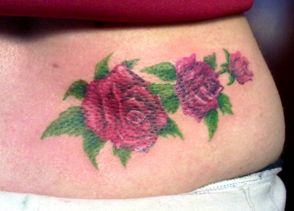 Evil Zone - Red roses