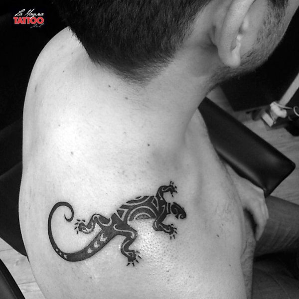 Gabor - lizard