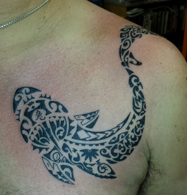 George - Warrior shark