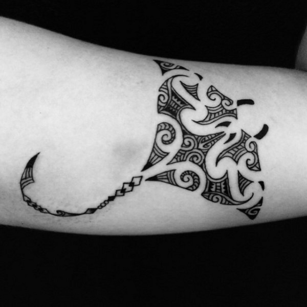 Guest - Maori manta