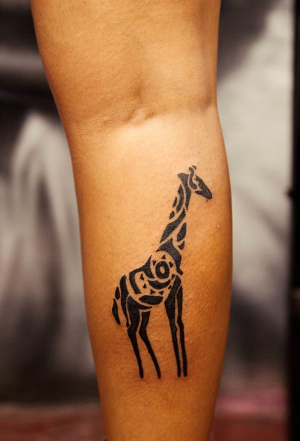 Guest - Giraffe