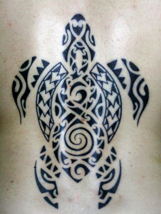 Guest - hui turtle