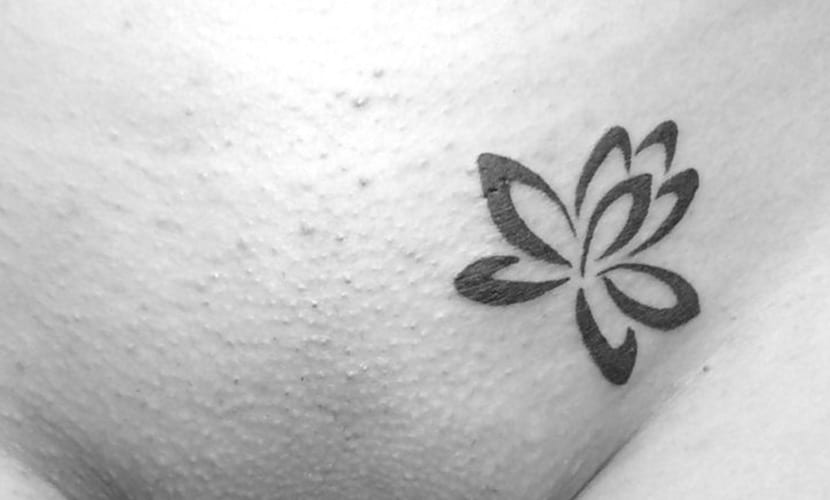 Guest - Lotus flower