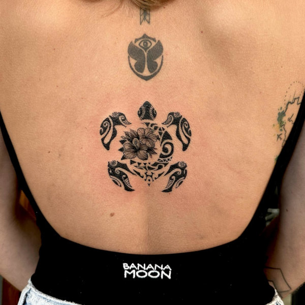 Guest - Moon turtle