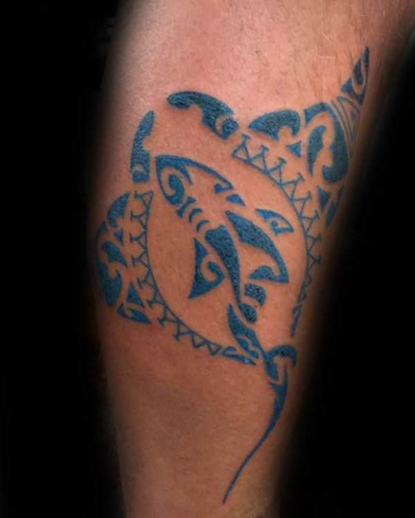 Guest - Whakarurutanga