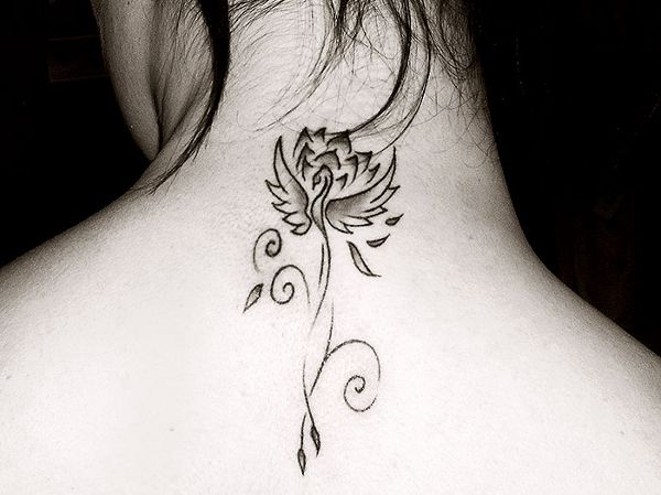 Izzy - Phoenix lotus