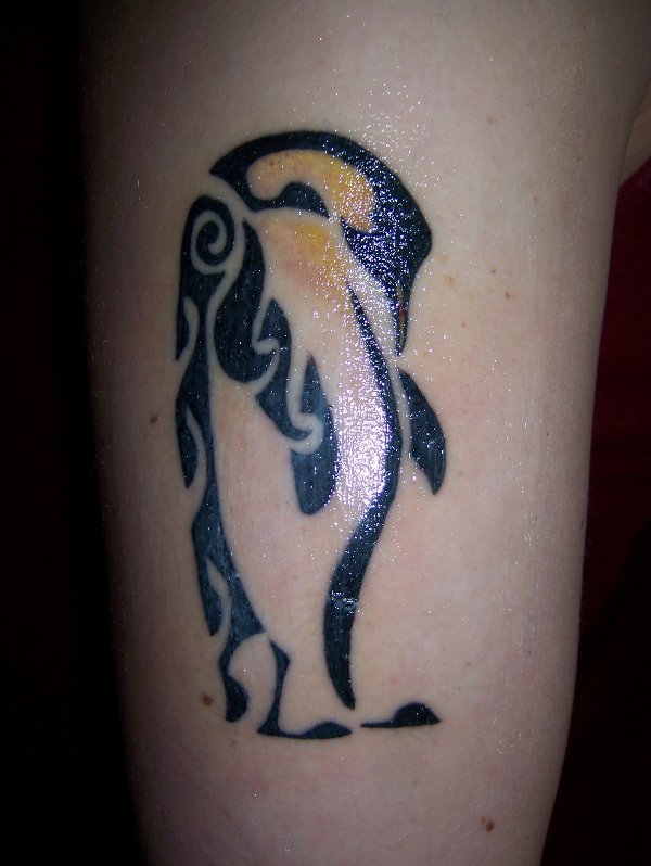 Jenna - Emperor penguin