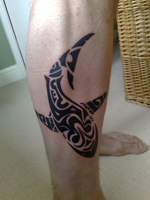 John - Maori shark