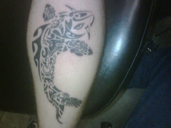Jonathan - Composite koi