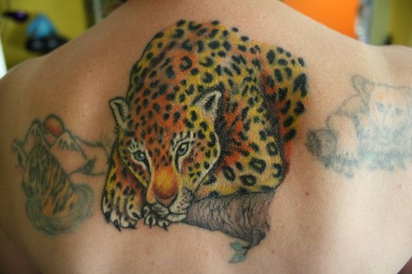 Jude - Leopard