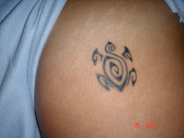Laura - Polynesian turtle
