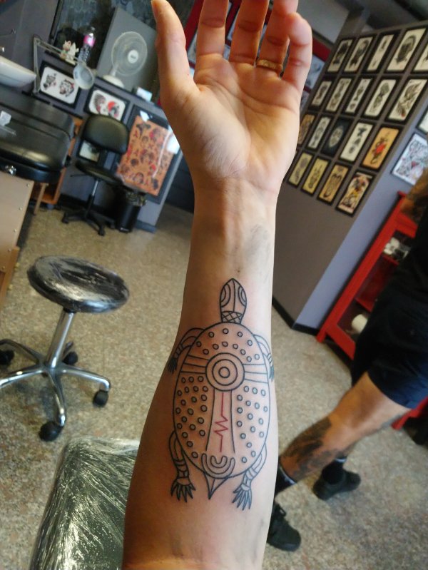 Luca - Aboriginal turtle