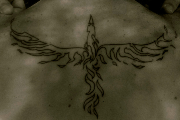Marco - tribal phoenix