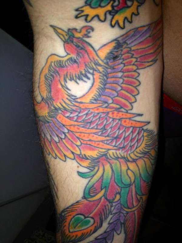 Mattia - Old school phoenix