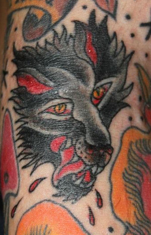 Mattia - Old school wolf