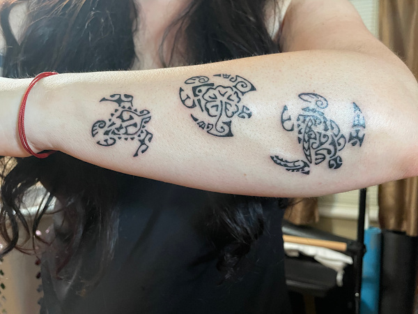 Nicole - 3 turtles