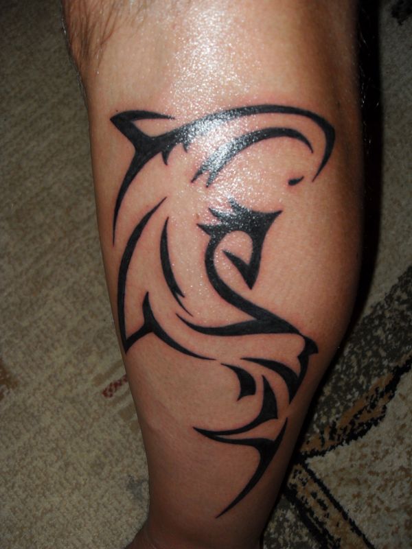 Piotr - Shark