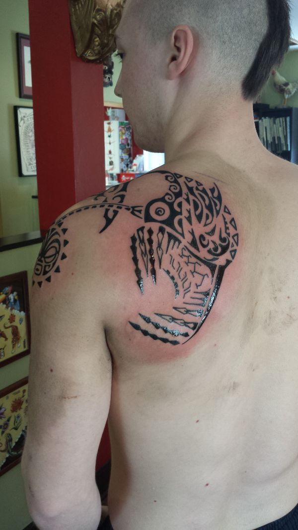 Steven - Angler fish