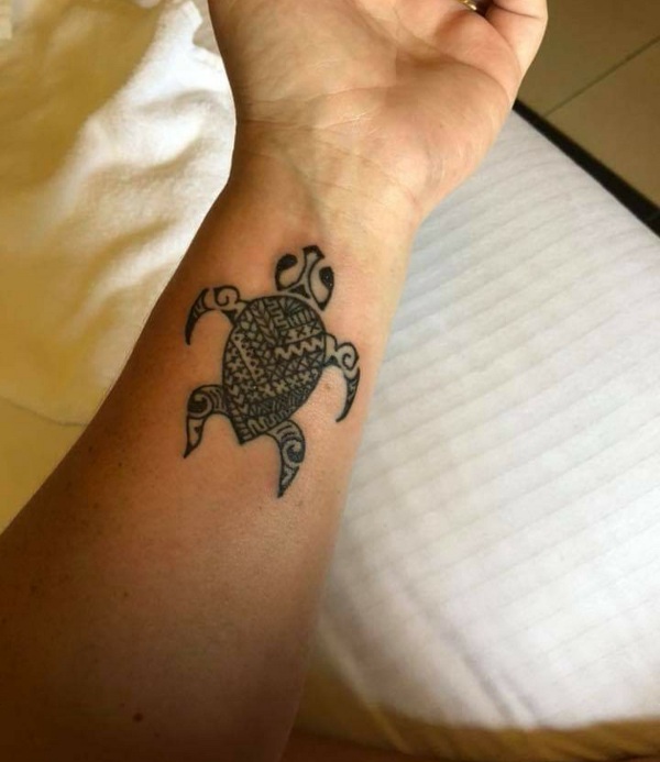 Tanya - Fijian turtle