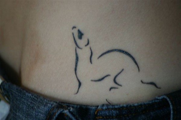 Viviana - ferret