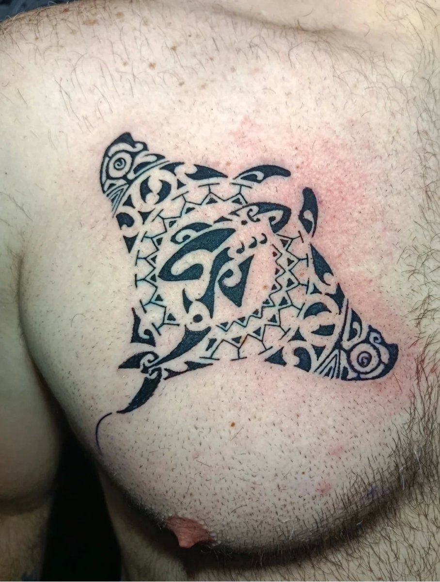 Whakarurutanga photo of Polynesian manta tattoo on pec: inked placement real user tattoo photo