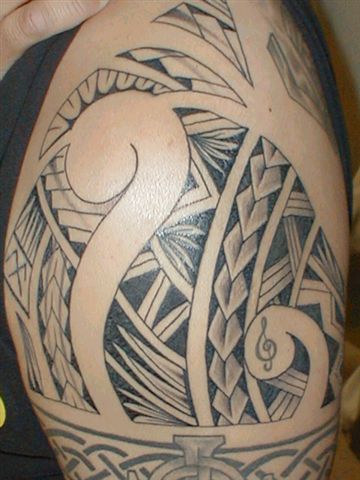 Steven - Poly tat