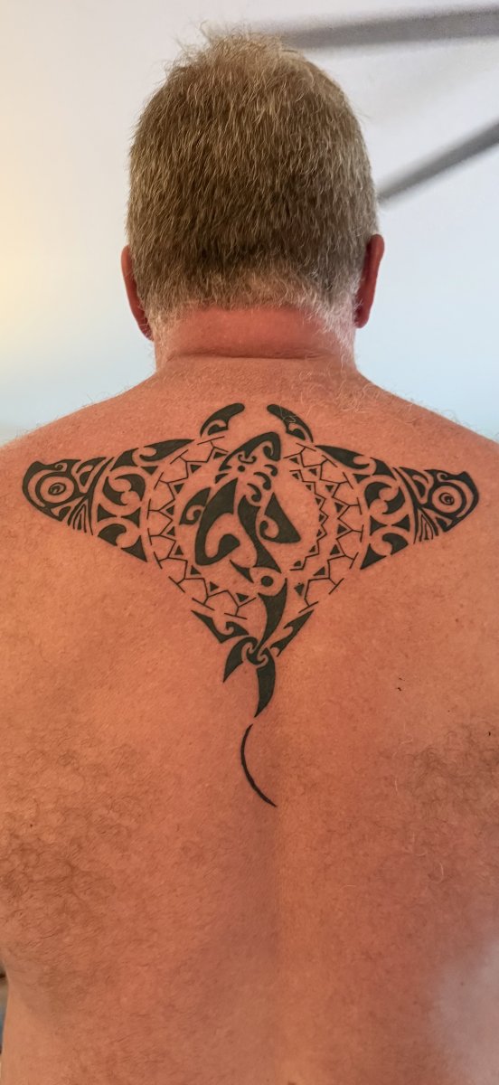 Real community tattoo placement: Sean Sheehan - Whakarurutanga: inked placement real user tattoo photo
