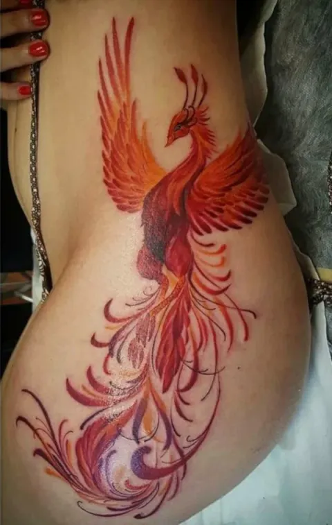Alba - phoenix
