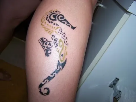 Anna - Polynesian seahorse