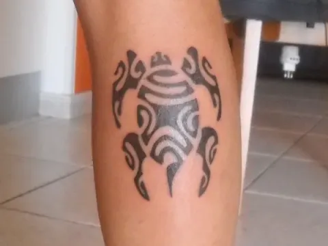 Emilio - Polynesian turtle