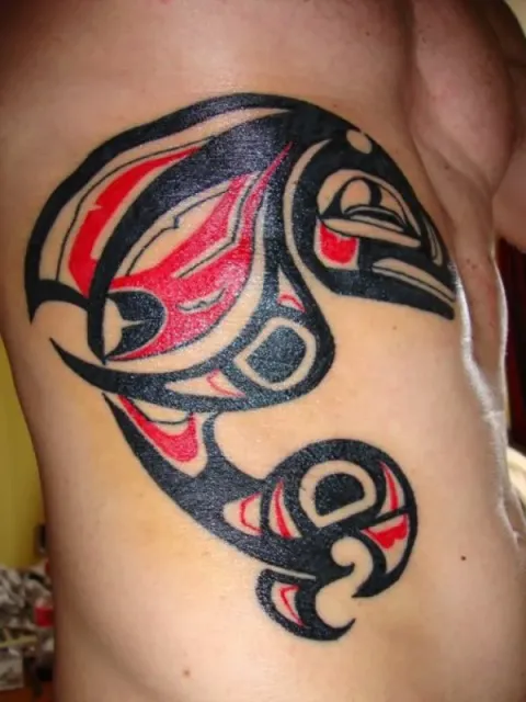 Erwin - Haida killer whale