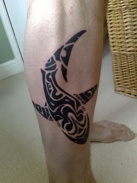 John - Maori shark
