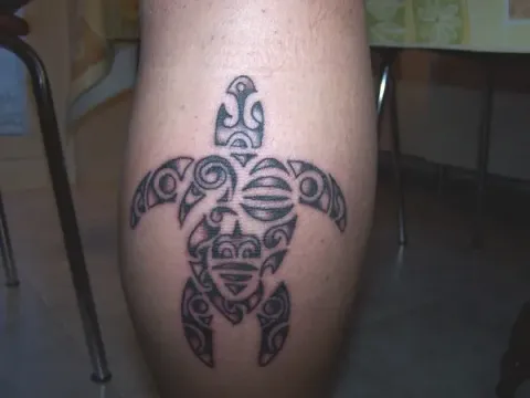 Marco - Whakakotahitanga