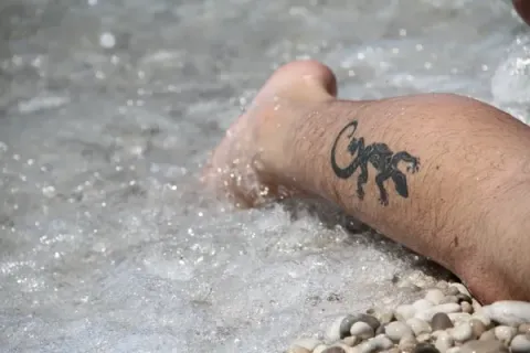 Rino - lizard