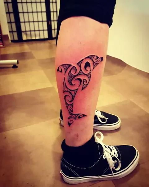 Shaney - Maori dolphin