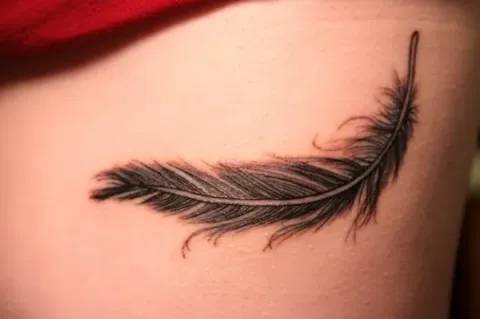 Yan - Feather