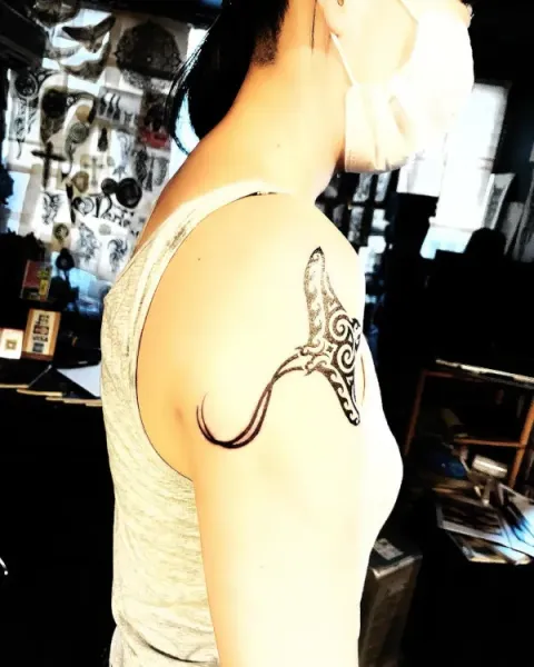 Guest - manta