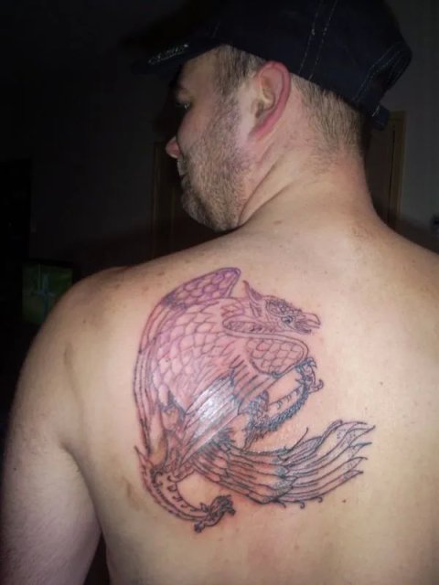 Sebastien - Thai bird: real inked placement tattoo photo thumbnail