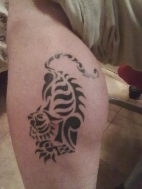 Davide - Tiger: real inked placement tattoo photo thumbnail