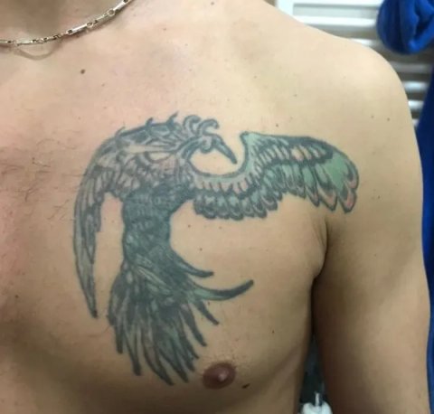 Fabio - Phoenix: real inked placement tattoo photo thumbnail