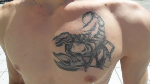 Fastlife - scorpion: real inked placement tattoo photo thumbnail