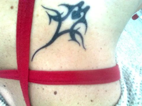 Giorgia - Tribal manta: real inked placement tattoo photo thumbnail
