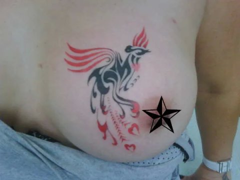 Guest - Tribal phoenix: real inked placement tattoo photo thumbnail