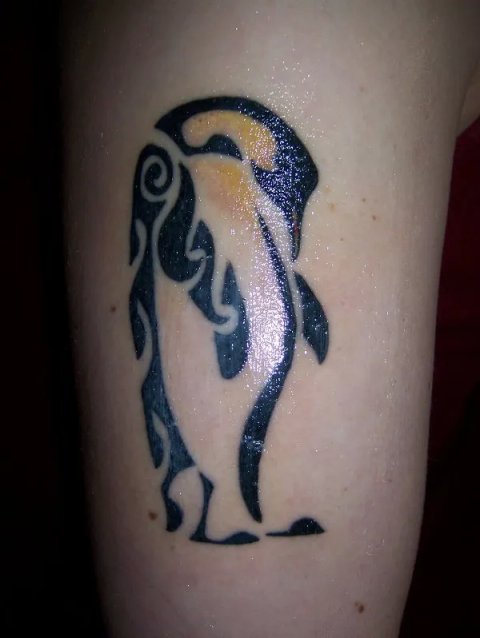 Jenna - Emperor penguin: real inked placement tattoo photo thumbnail