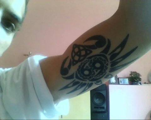 Luis - Crab: real inked placement tattoo photo thumbnail