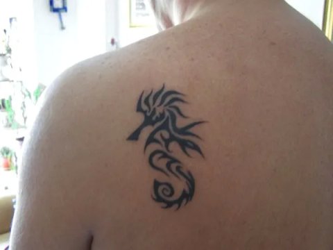 Marco - Seahorse: real inked placement tattoo photo thumbnail