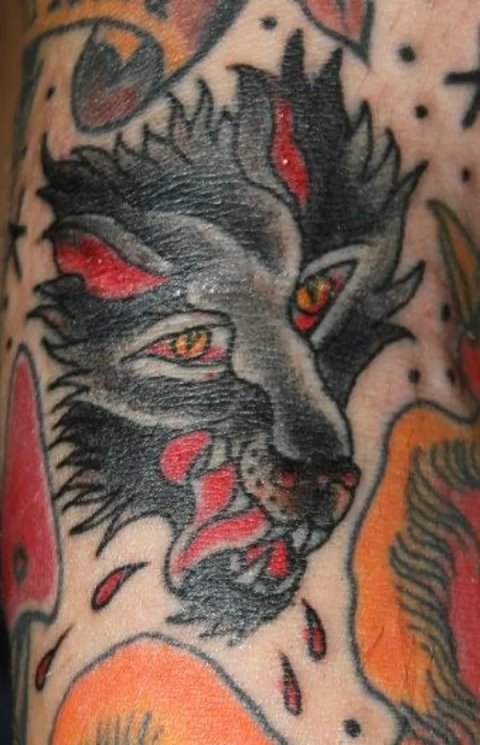Mattia - Old school wolf: real inked placement tattoo photo thumbnail