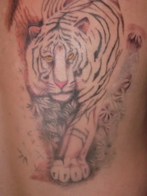 PapaChangoArt - Tiger: real inked placement tattoo photo thumbnail